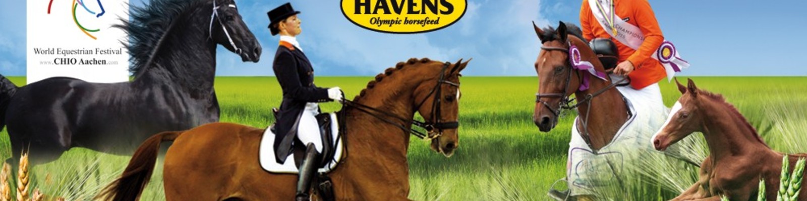 Havens 