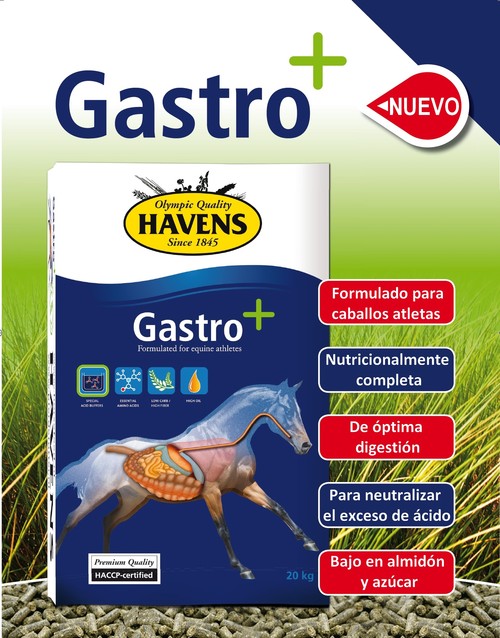 Nuevo: Gastro+ para una óptima digestión