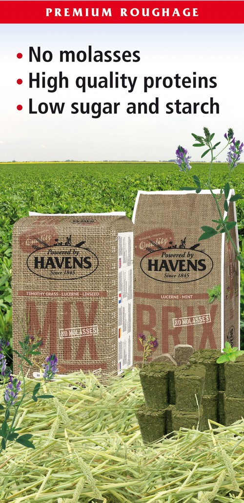 HAVENS MIX: la fuente de fibra sana y natural